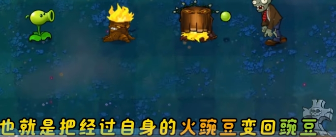 “茶之国度”主题讲座在捷克布拉格书展期间举行捷克,茶之国度,正山小种,布拉格,书展,戎新宇									