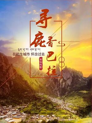 一马中特内部精准资料