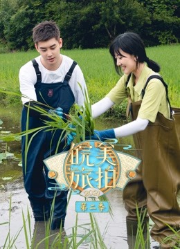 人生就是搏尊龙