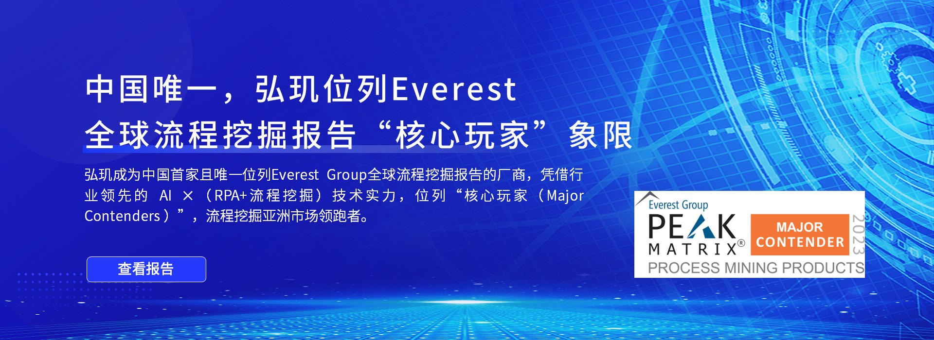everest group流程挖掘